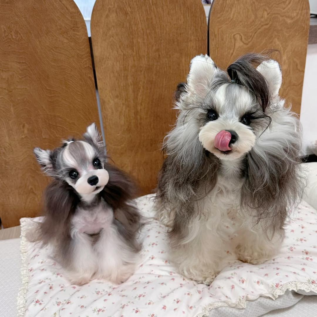 元宝之家（雪纳瑞）