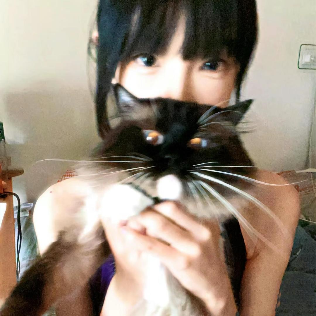 小韩是总裁