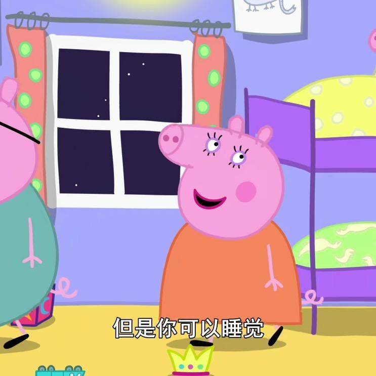 佩奇不会飞😴