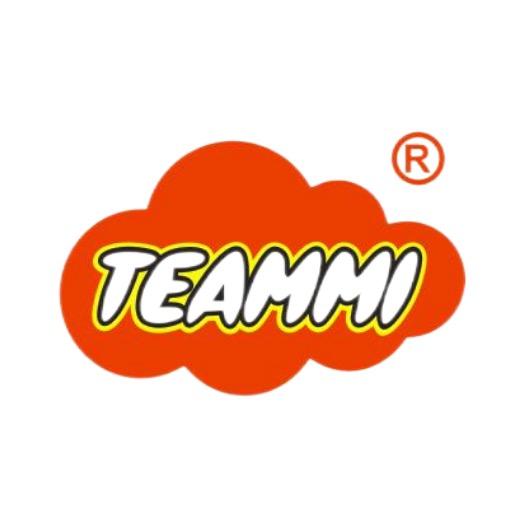 teammi天美潮玩专卖店