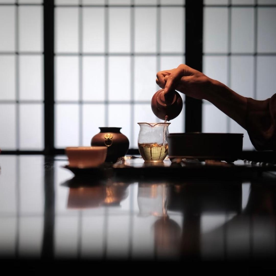 茶棵普🍃