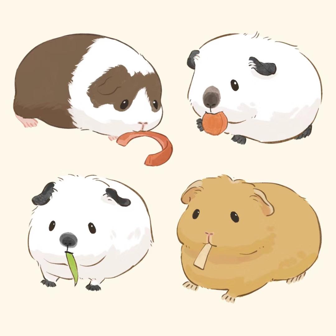 悦沐豚鼠仓