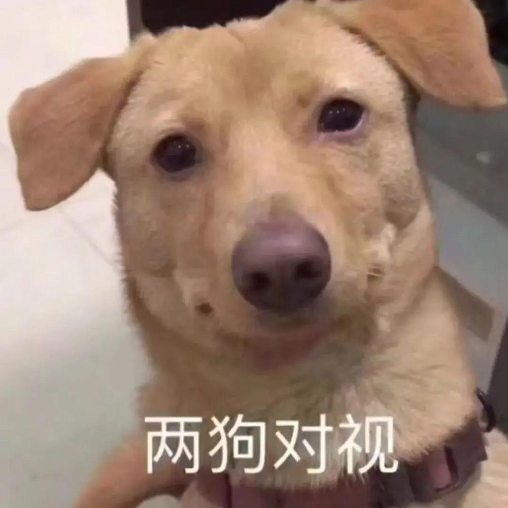 睡醒了也很困