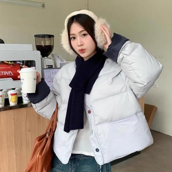 雪中吹雪（萌宠）