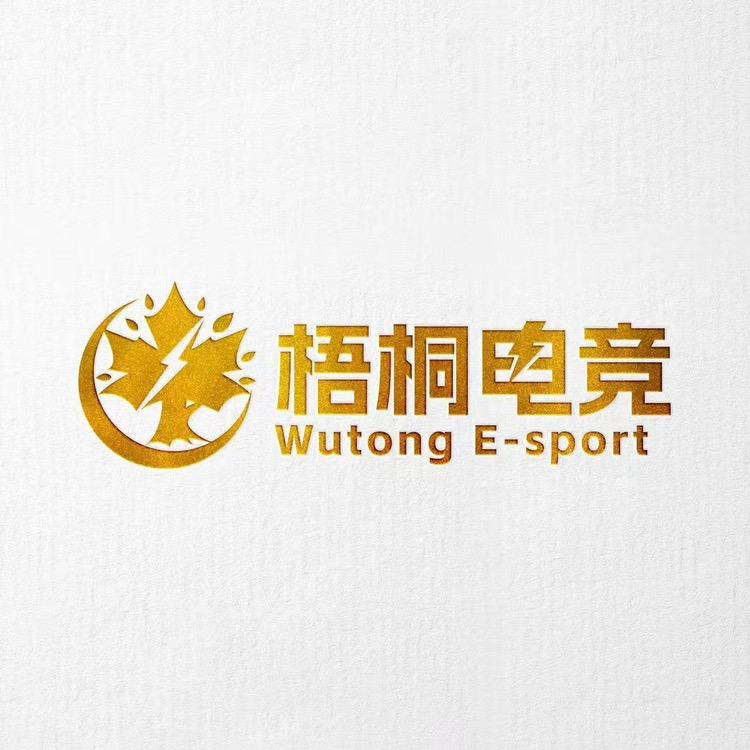 梧桐电竞官方号