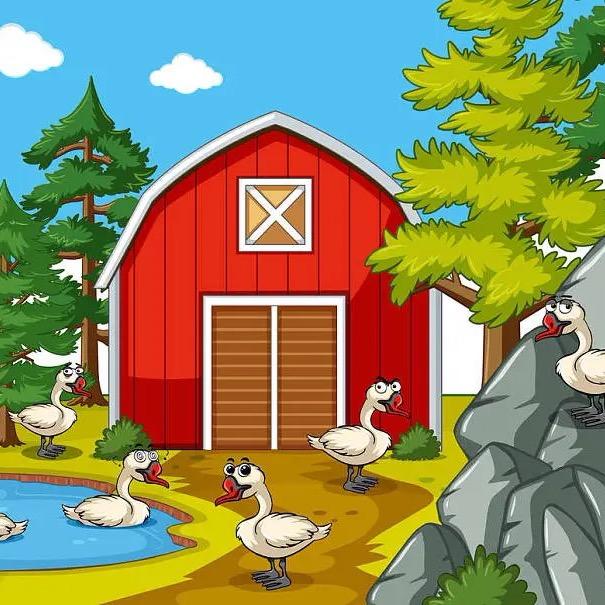 农村小伙的养殖基地