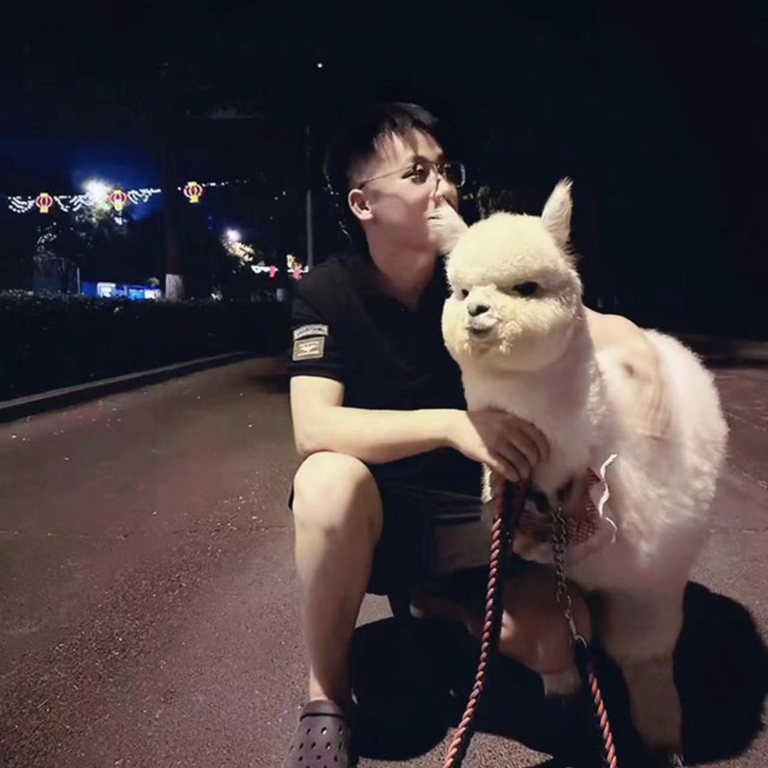 神兽小胖和皮皮