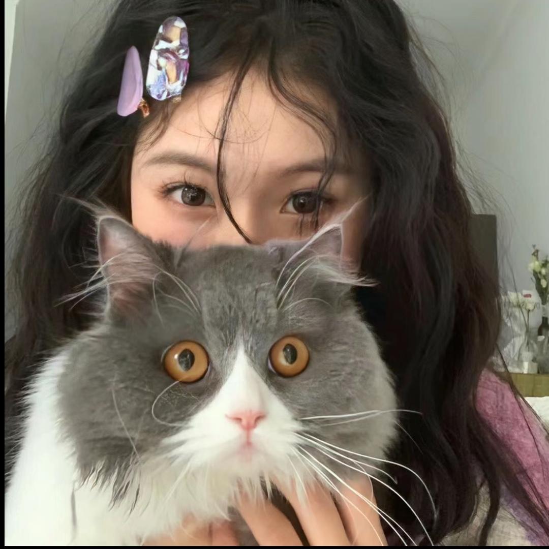 ʚ呆呆💤