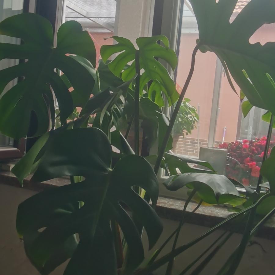 @坤哥@