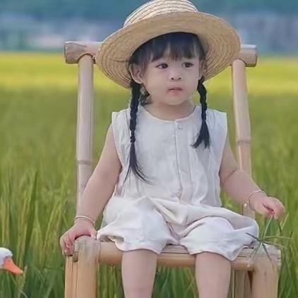 美美滴大王吖