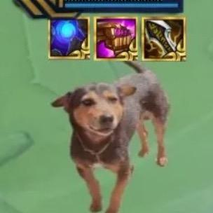 金铲铲之战—承运