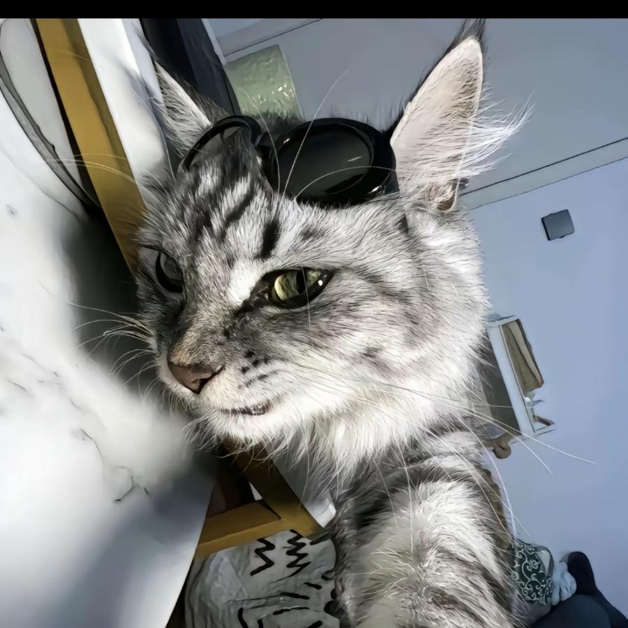 秋鸢