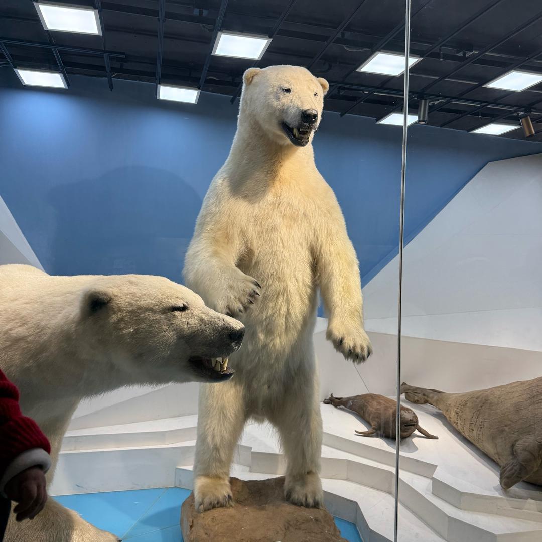 海口润倍旺网络科技有限公司宠粉账号