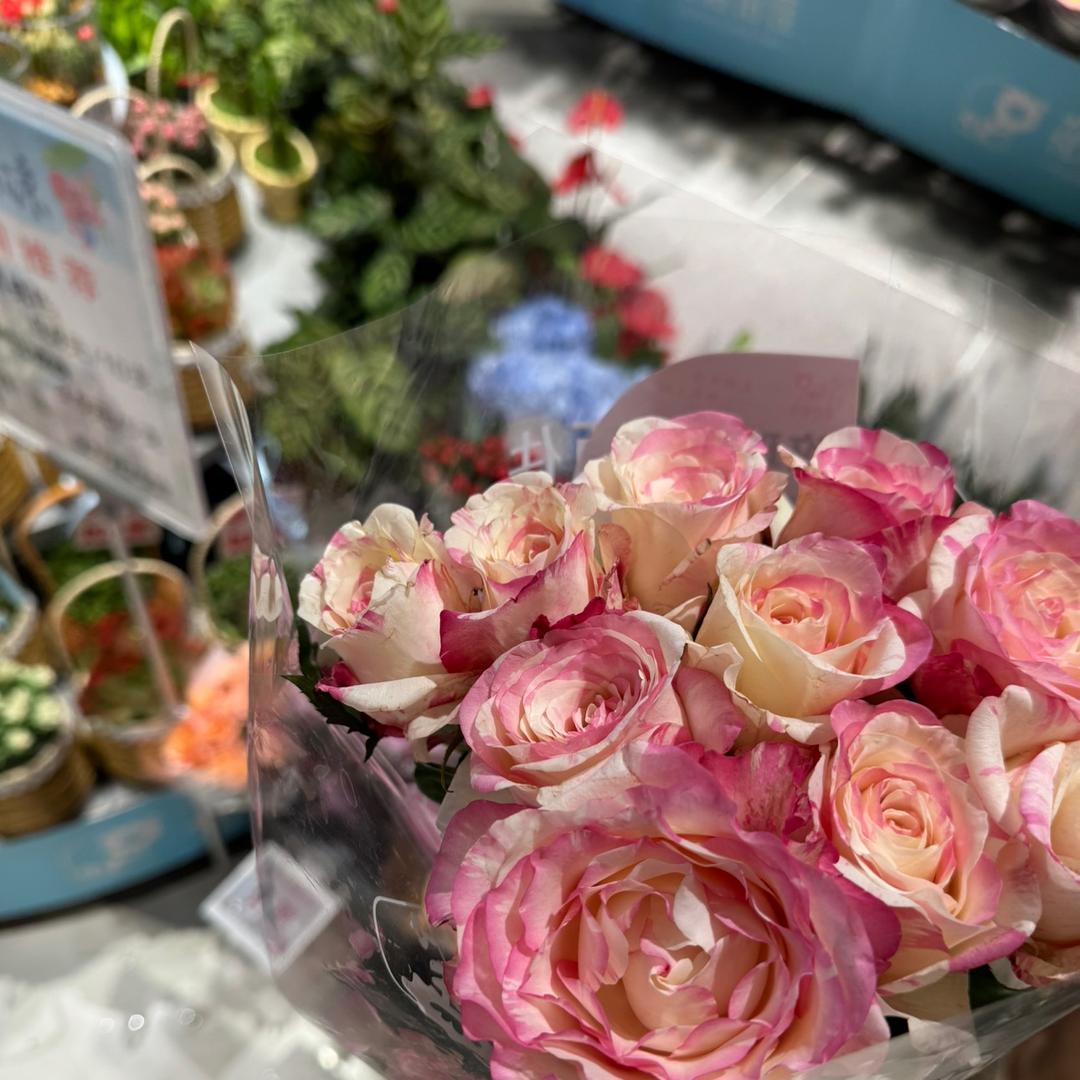 小野de生活碎片