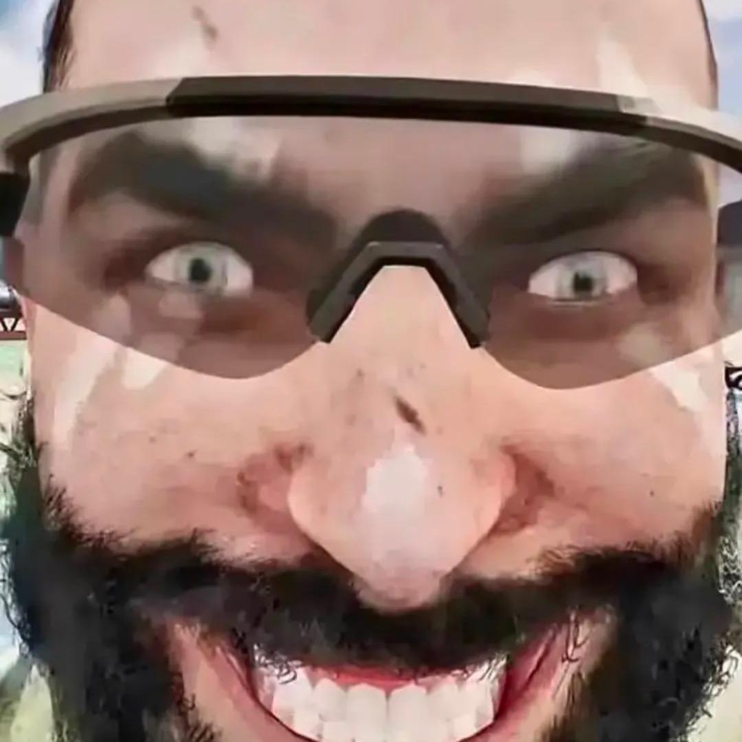 三角洲鸟兽兽（撞车