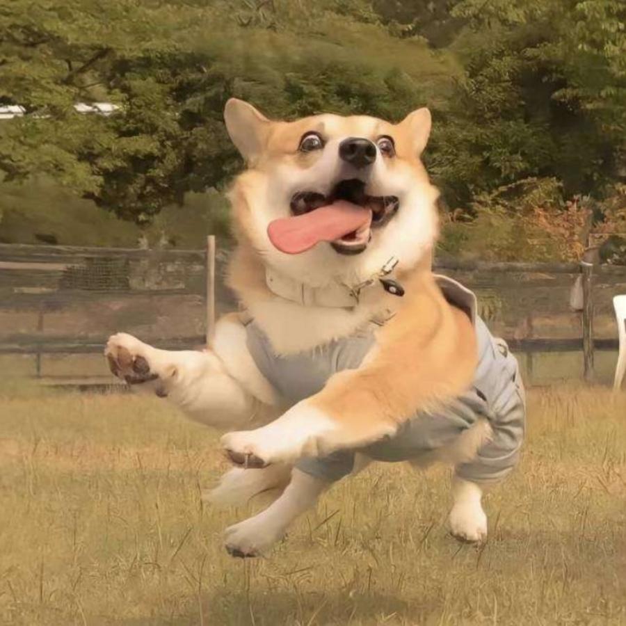 兴惧运