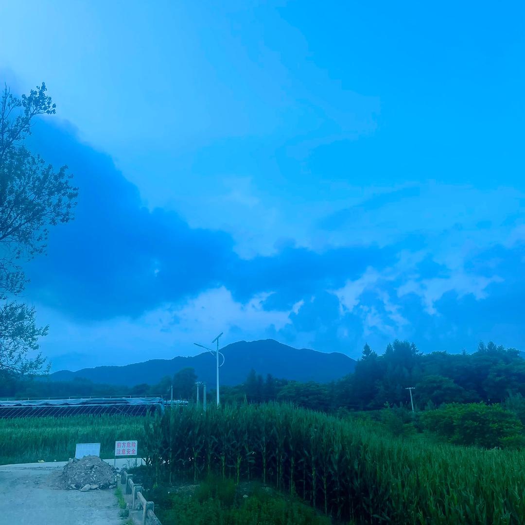 众之源优选汽车