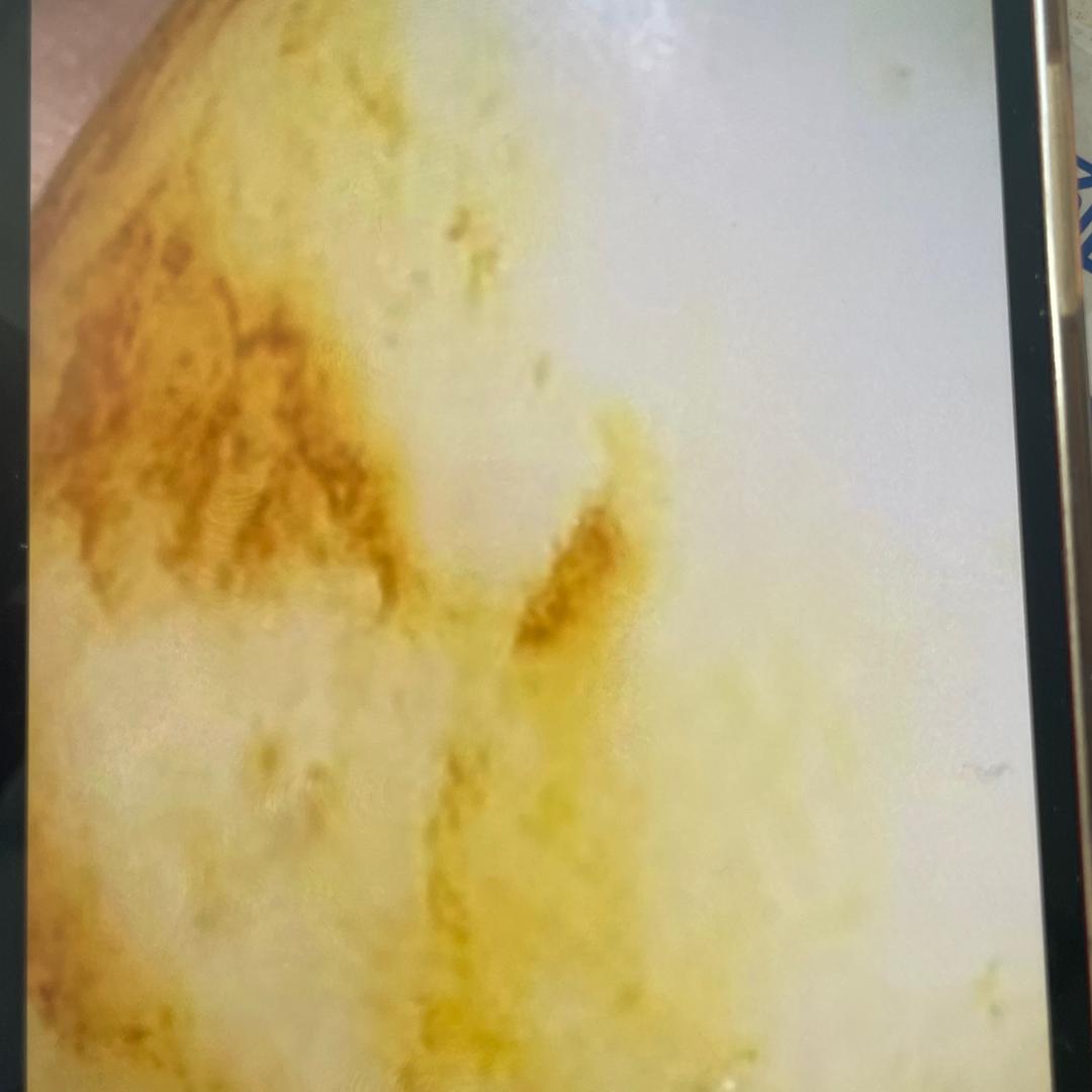 苏州昆仑和田玉