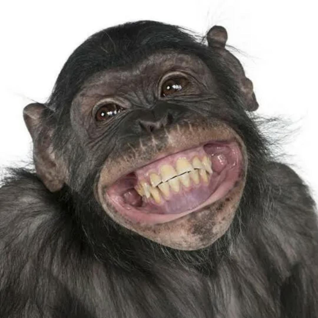 ICU HomeBar（Vict）