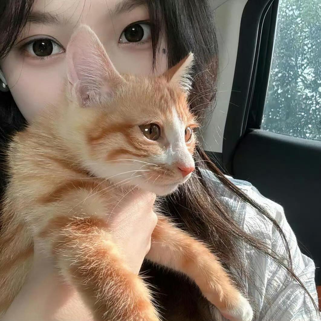 禾禾