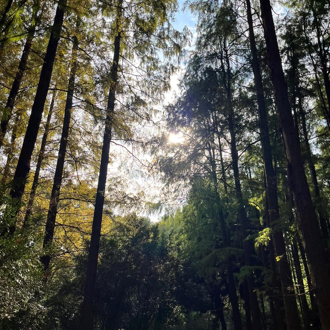 小宗宗