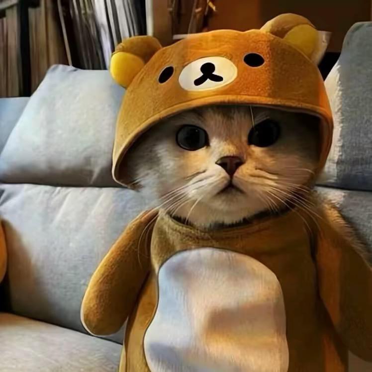 小小怪下士