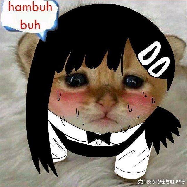 午夜伤心小玫瑰