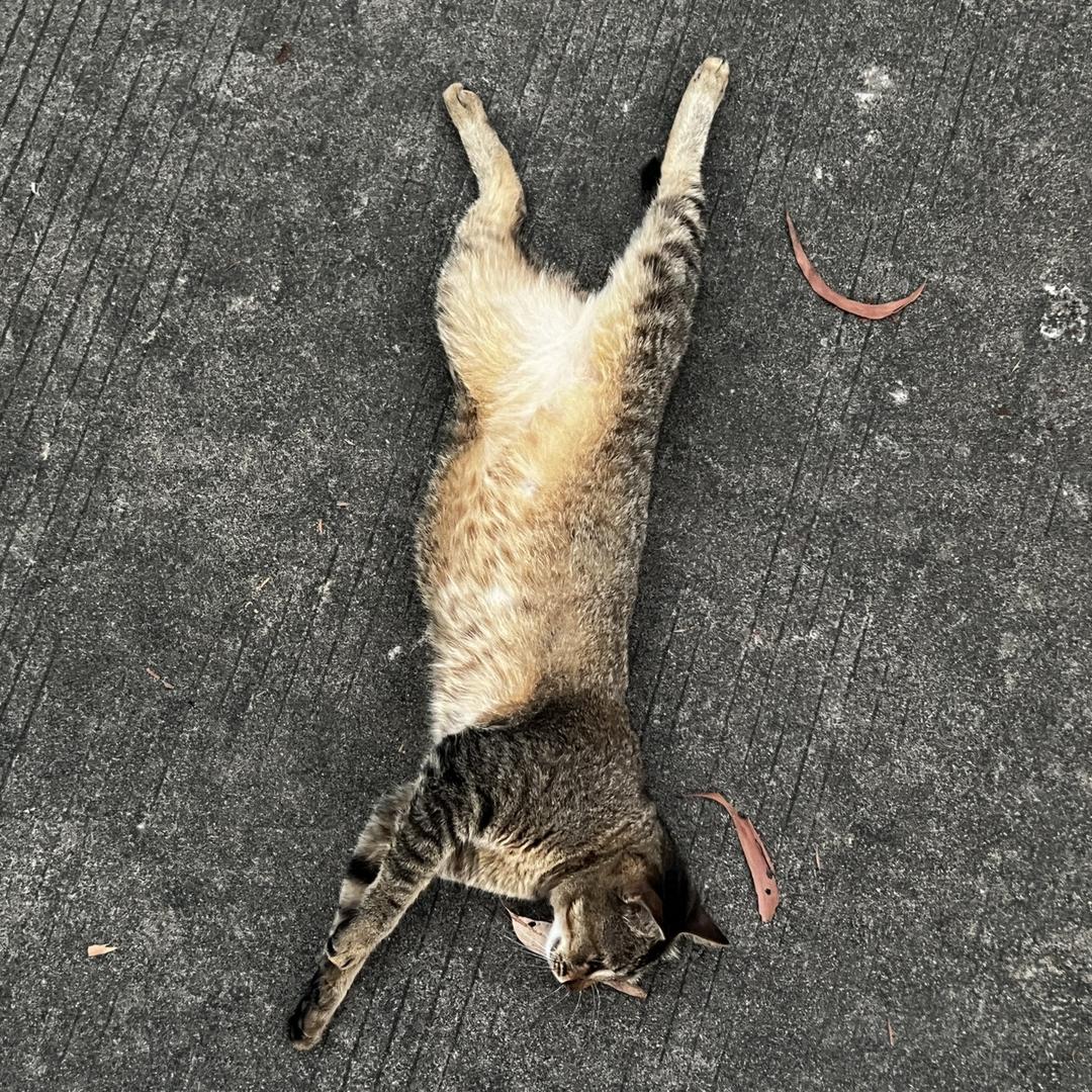HuI