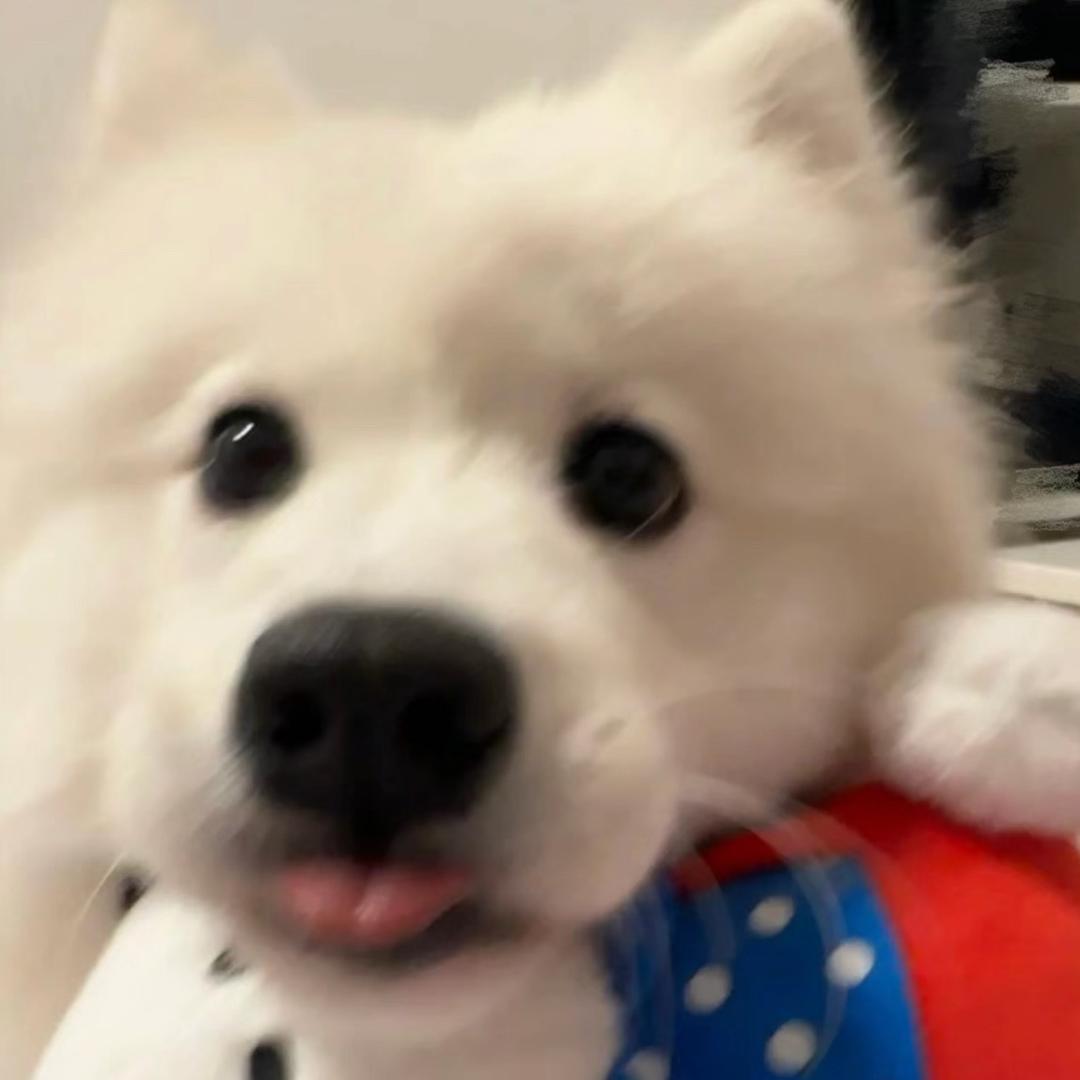 小狗叫什么