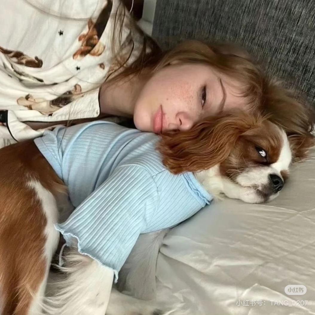 爱吃布丁的生姜