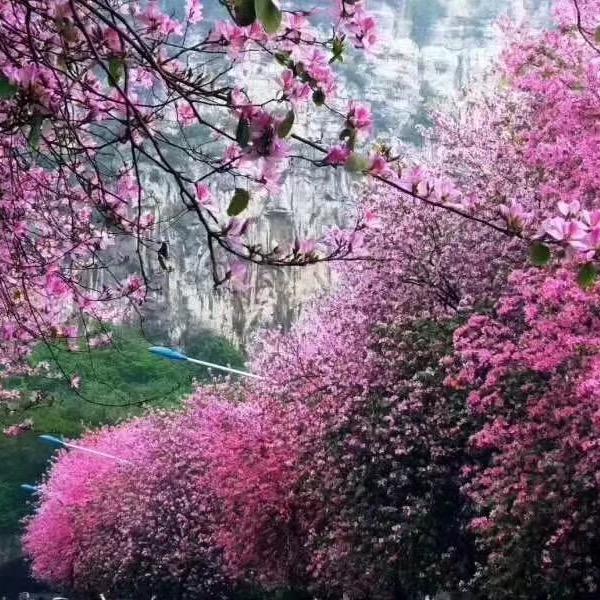 ℳ曾经ঞᩚ年轻过꧔ꦿ᭄