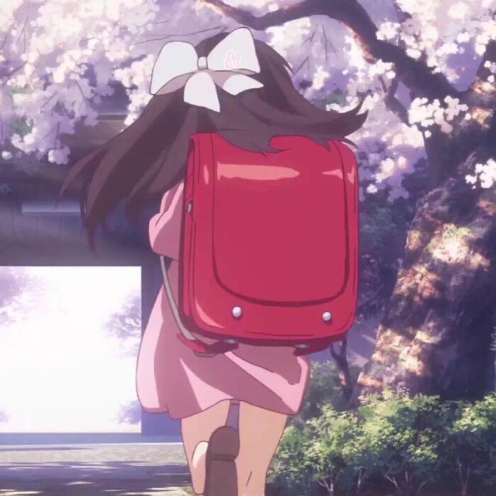软软软m🌸