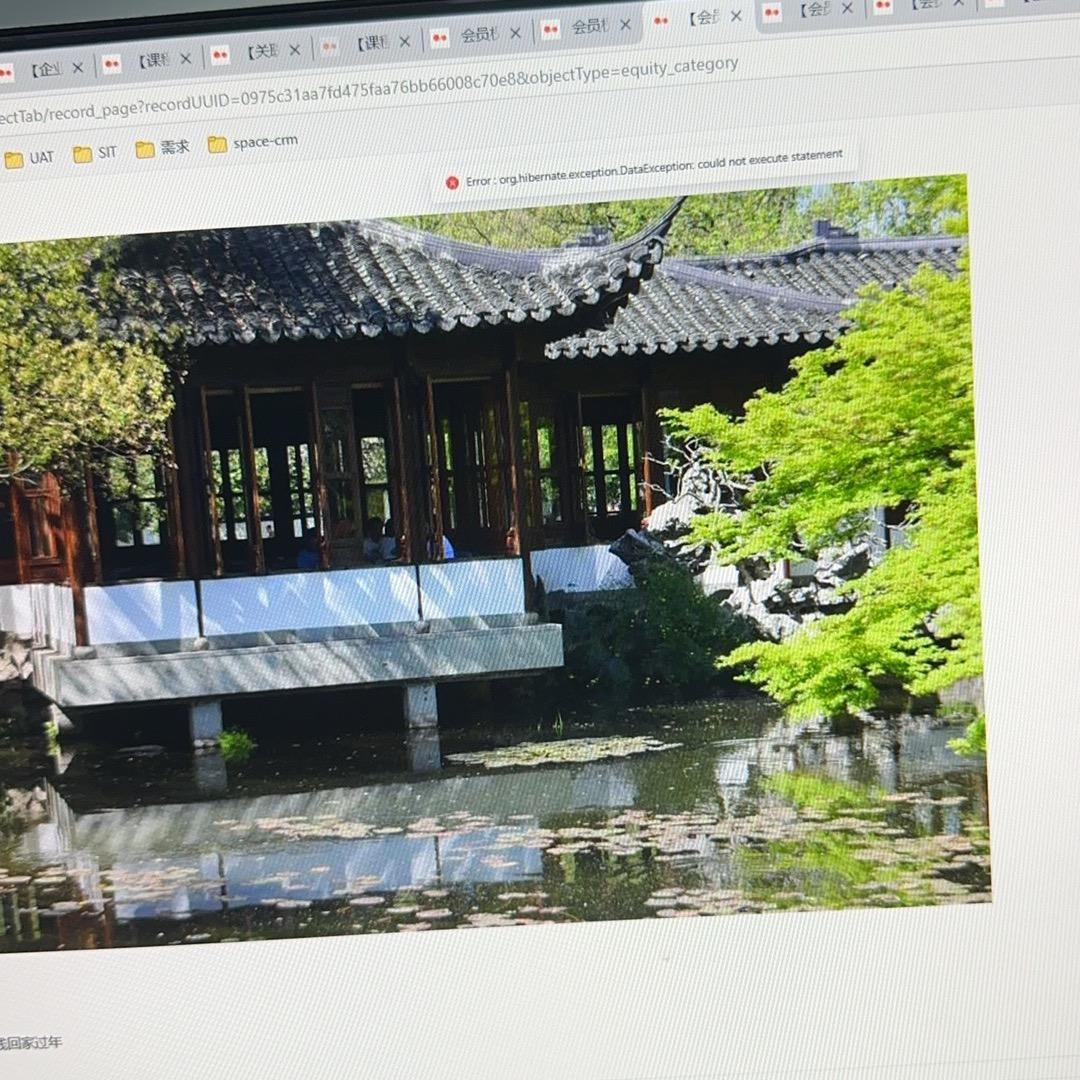 2个皮卡丘