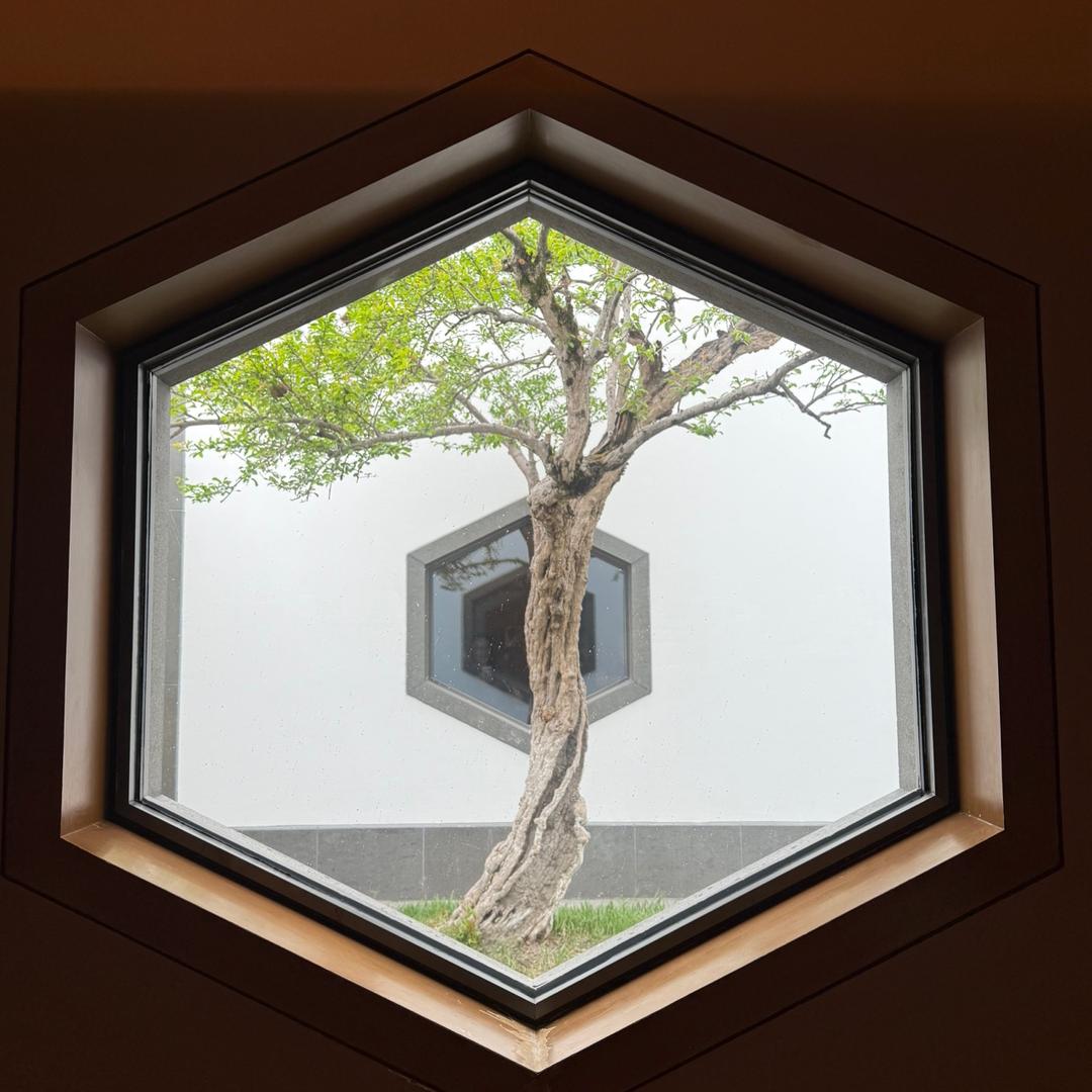 境树21号创意文具