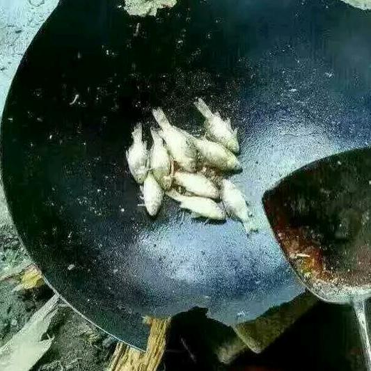 久九酒