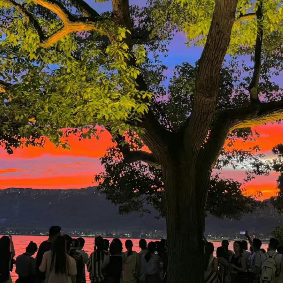 世界的尽头🏕️