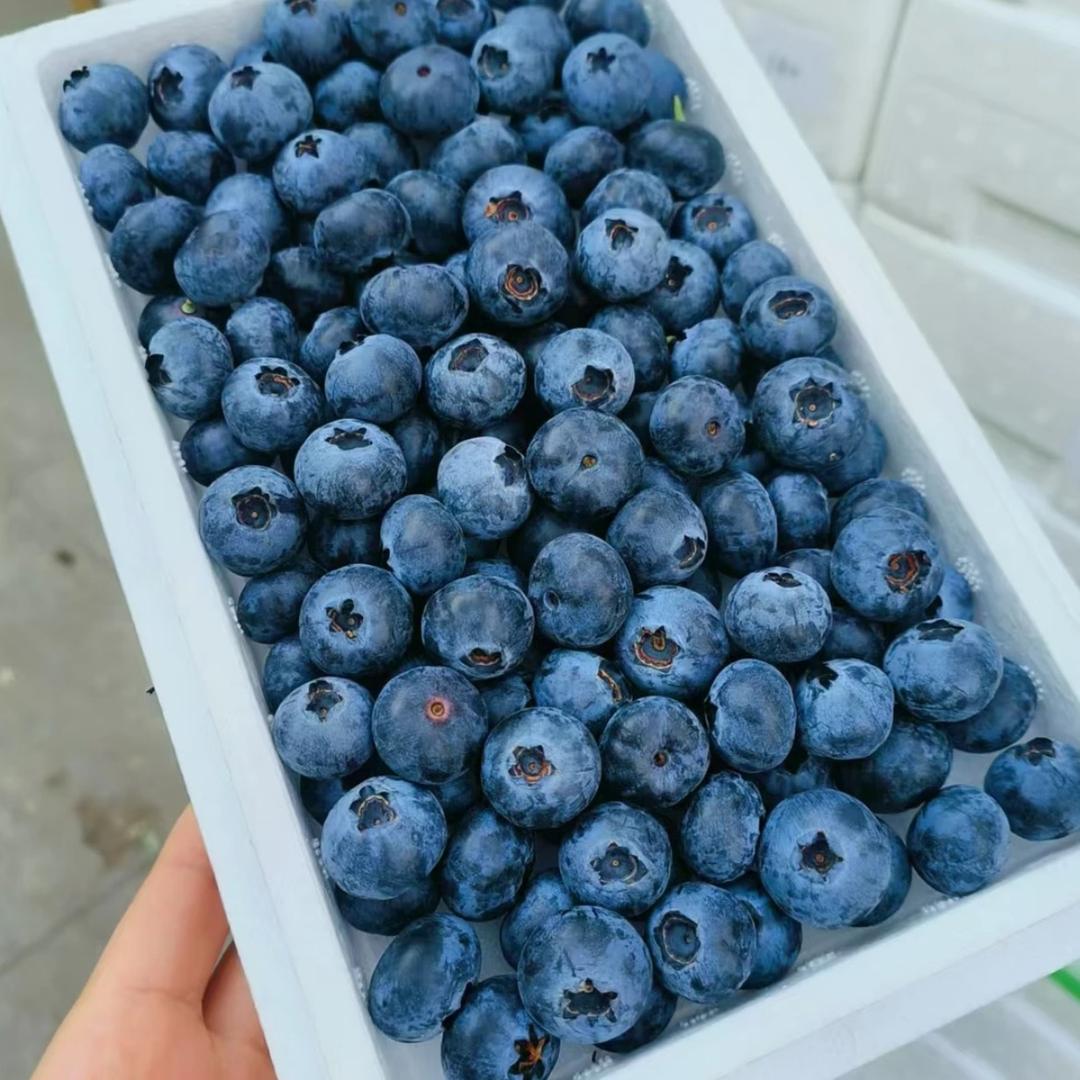 山东水果仓水果到家