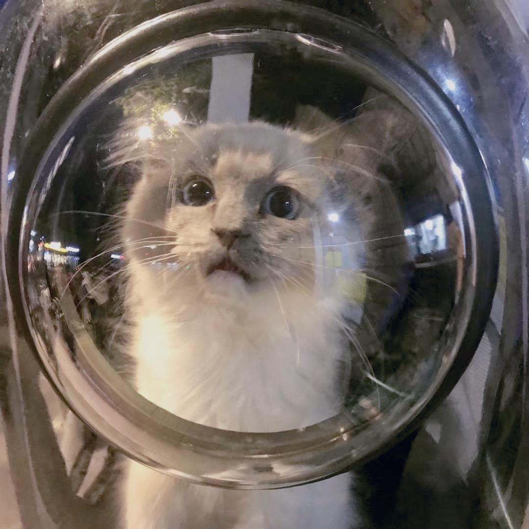 爪子炸弹街舞- TiTi🦋