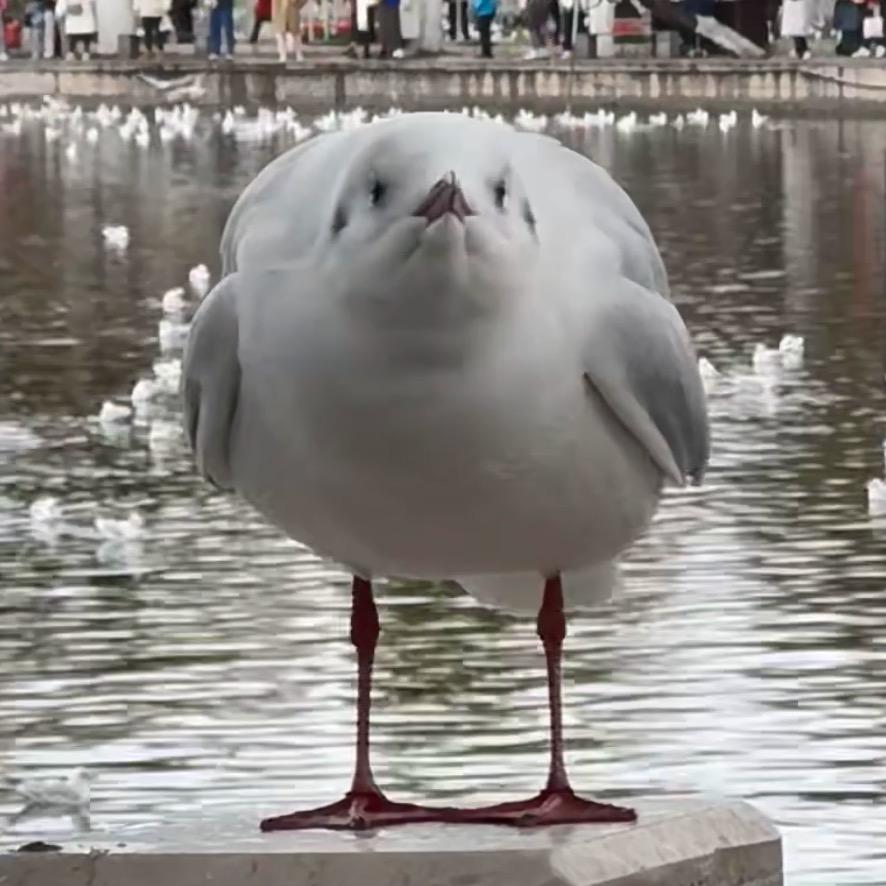李找找