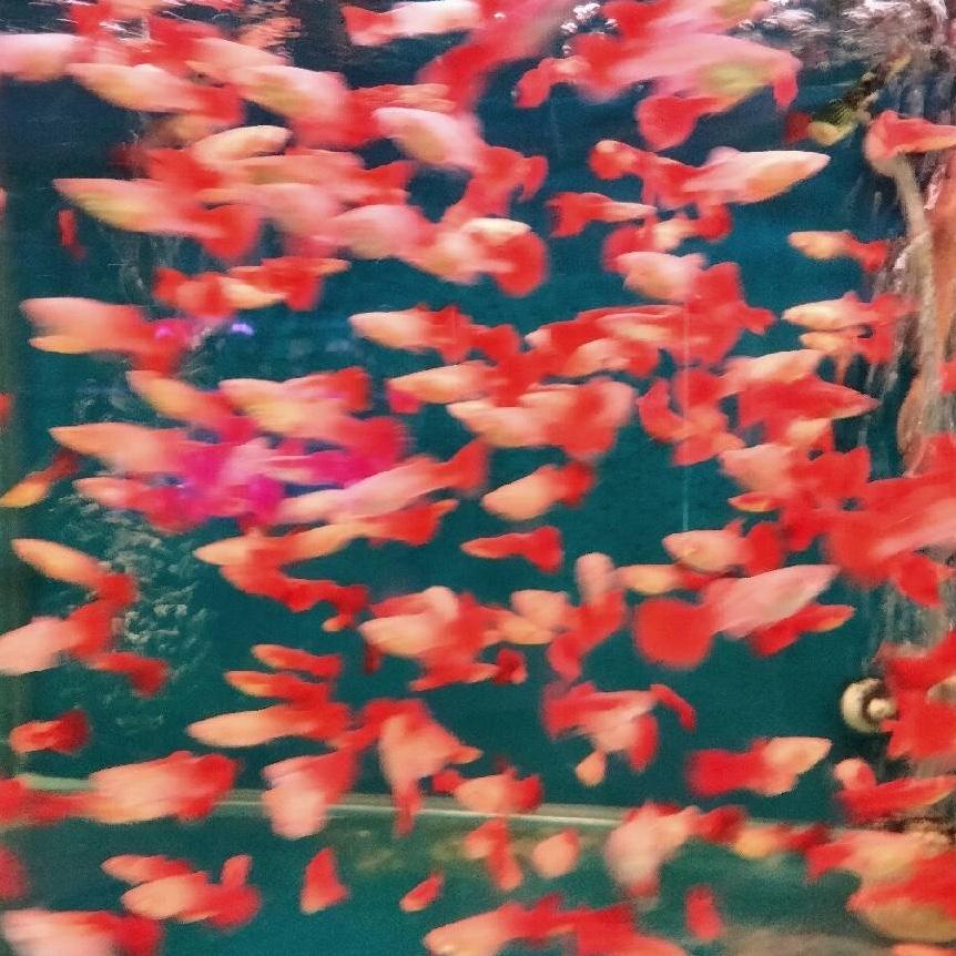 何金荣