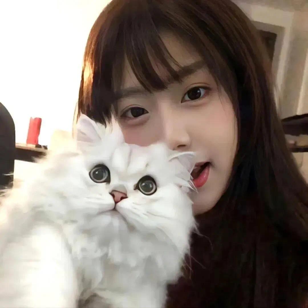 打游戏的小泡芙