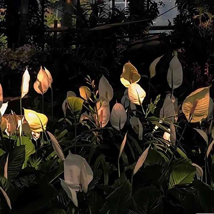 黔西市阳光海岸幼儿园马老师