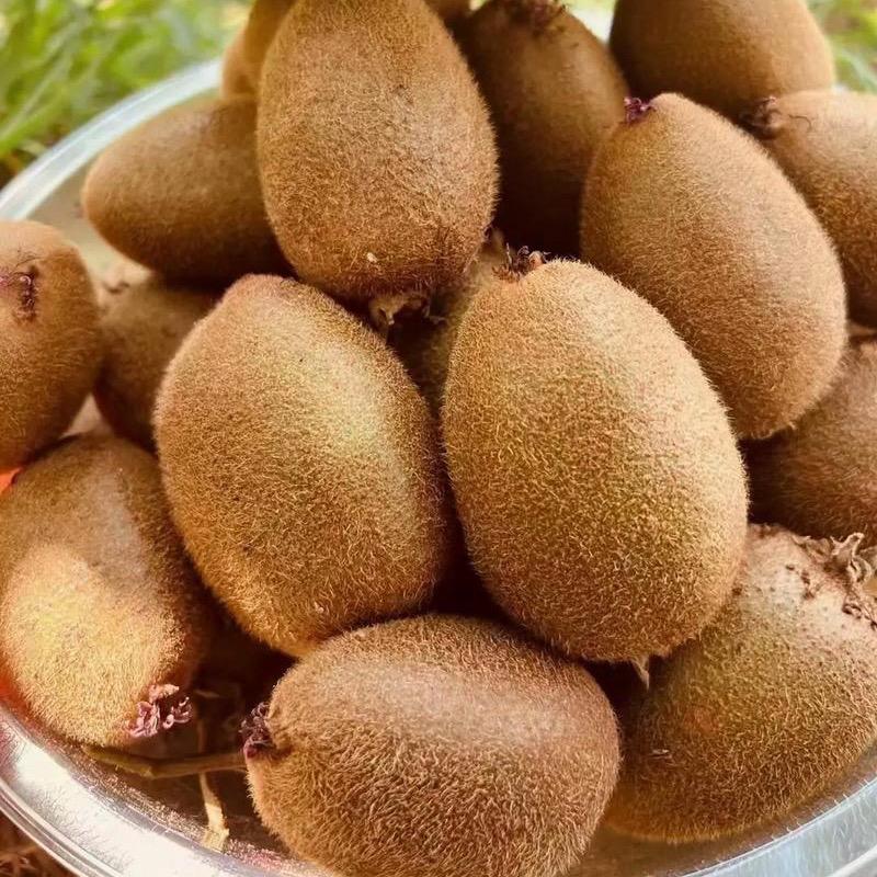 富平县淘气果蔬