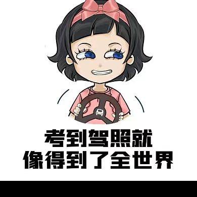 琳琳驾考(科一科四技巧)