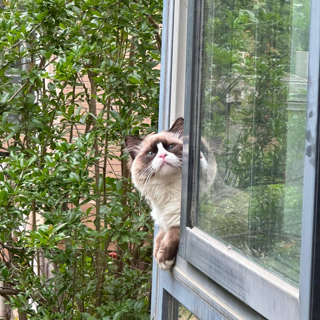 柚子的黏土养成记