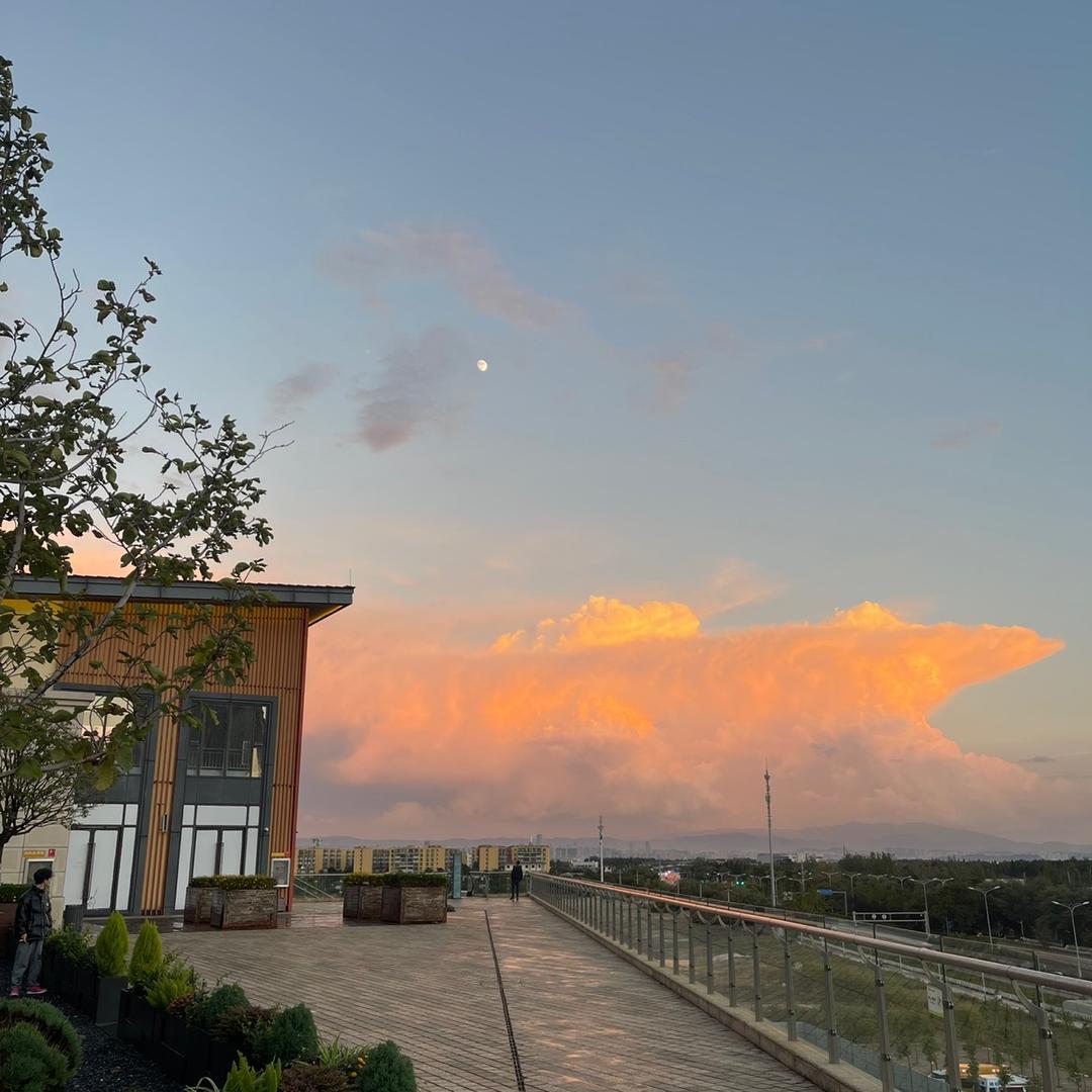 茶空间@侘寂