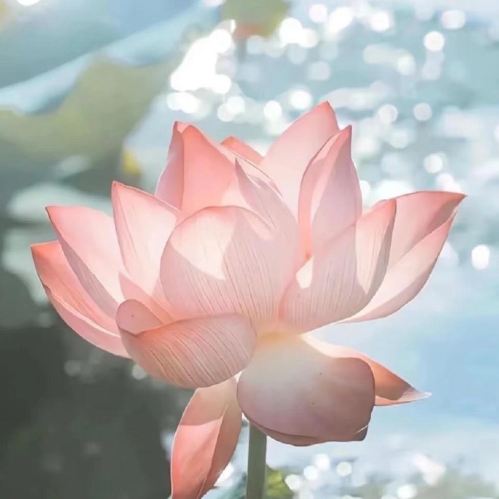 鸿标百货商行行