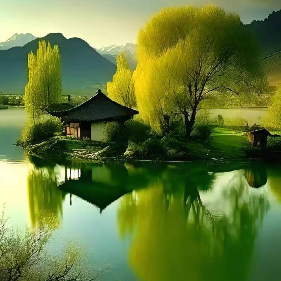 ꫞꯭红尘蝶恋꫞