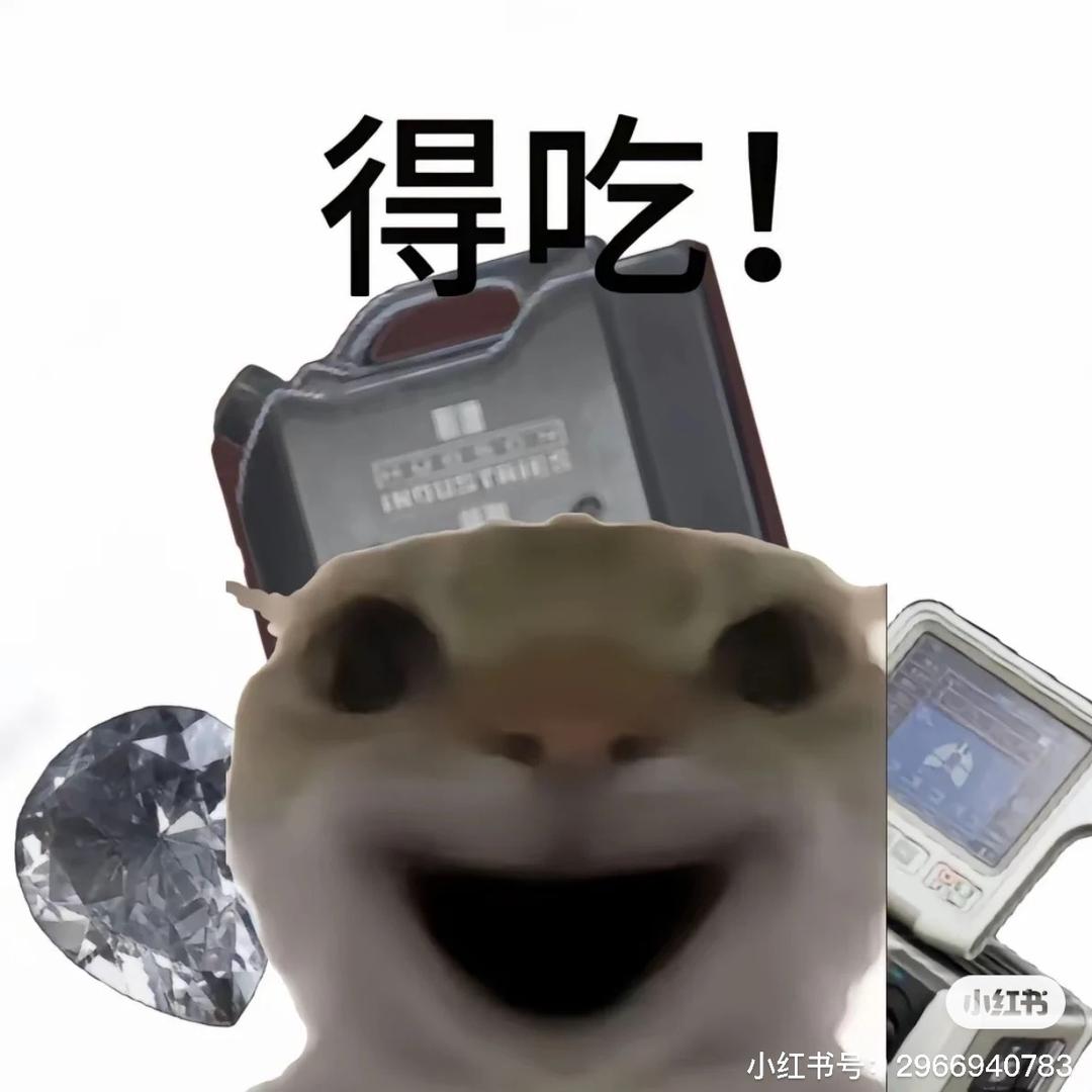 大坝鼠王
