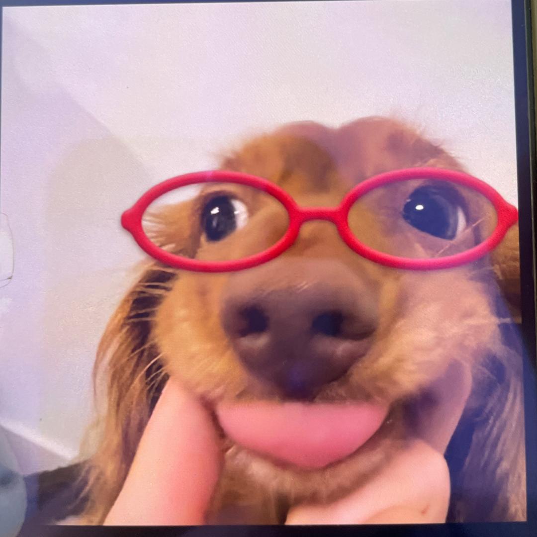 璐璐